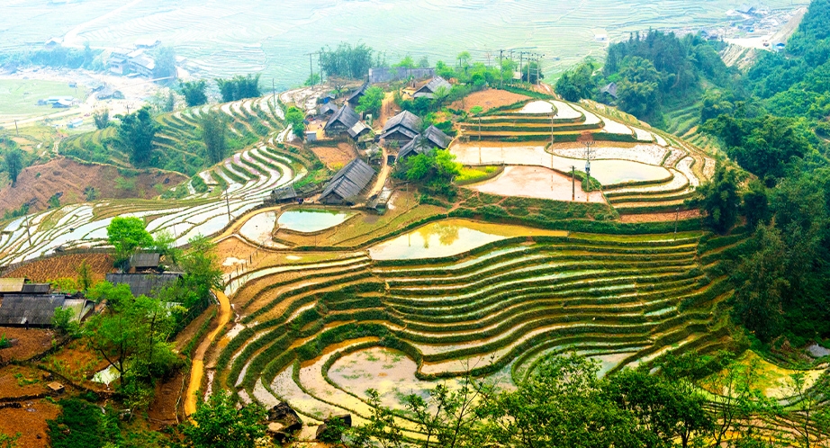 Day 5: Lao Cai - Sapa - Cat Cat Village - Lao Chai - Ta Van Villages (Breakfast, Lunch)